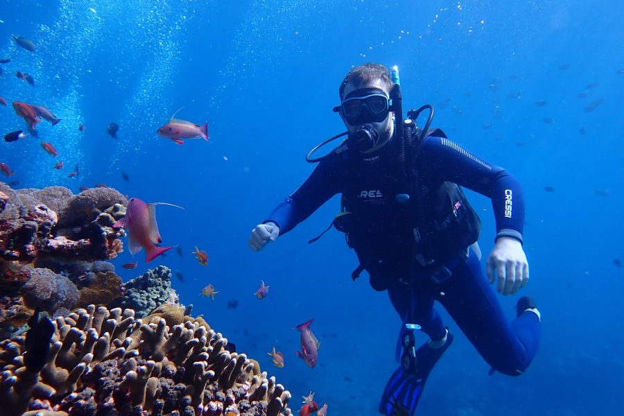 dive trips